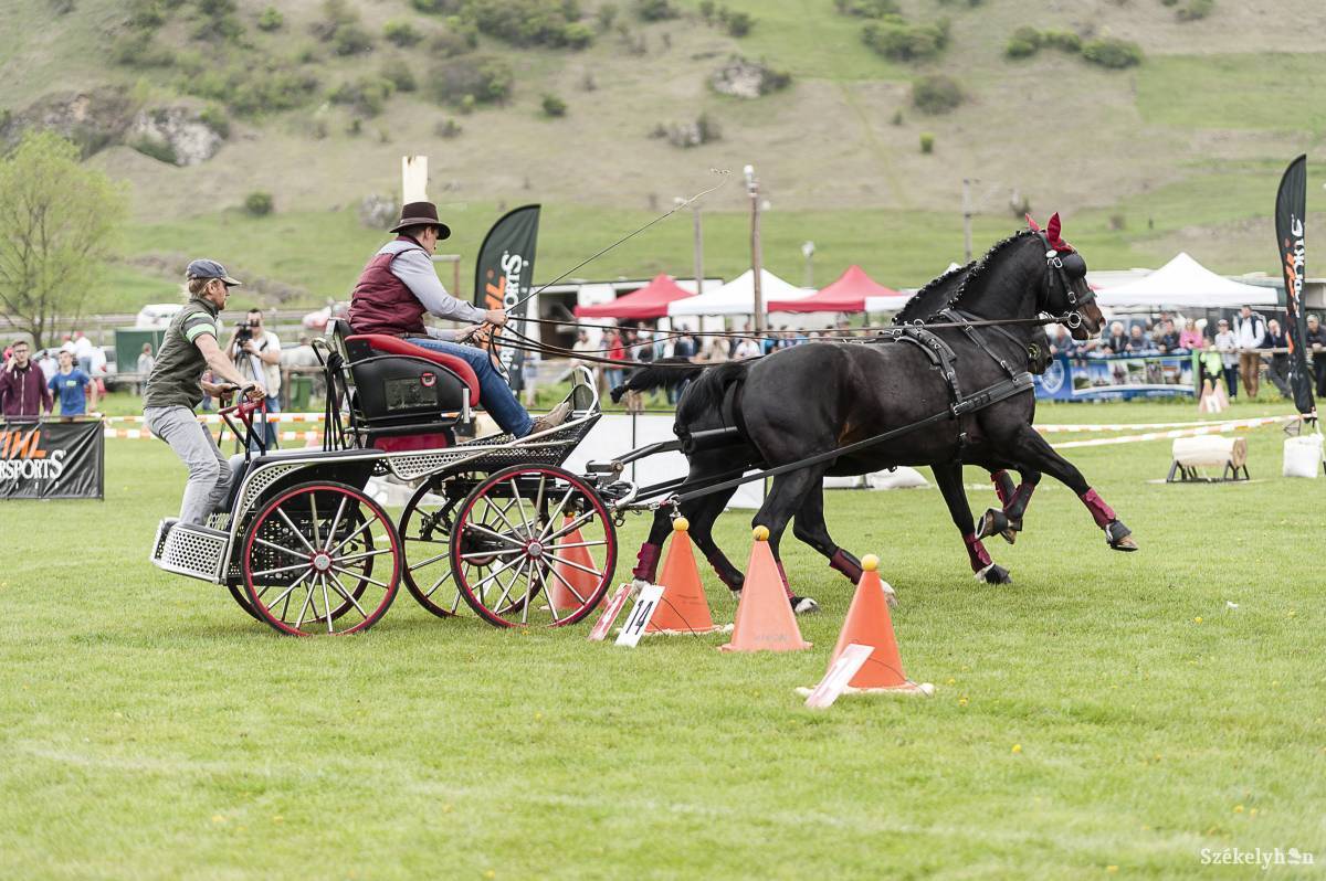 &bullet;  Fotó: Gecse Noémi