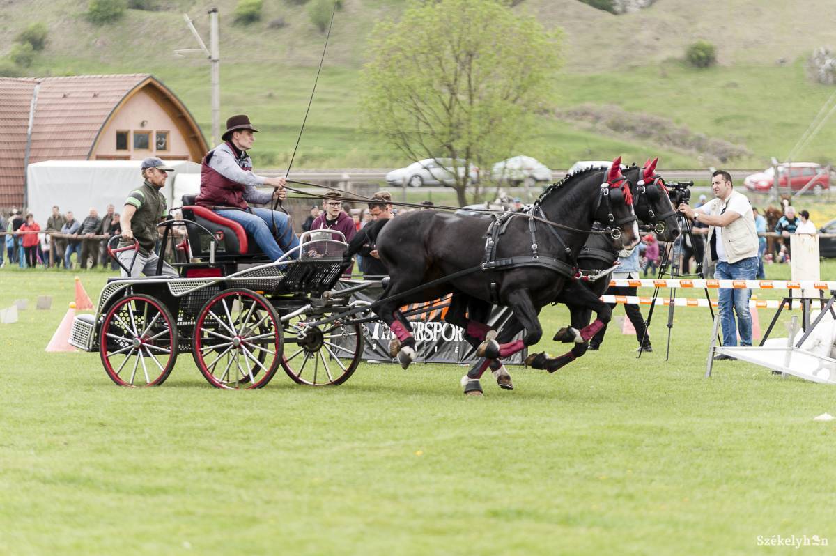 &bullet;  Fotó: Gecse Noémi