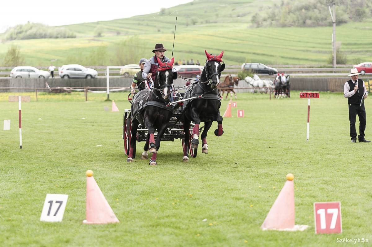&bullet;  Fotó: Gecse Noémi