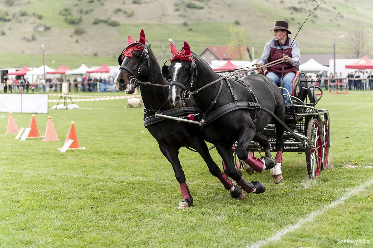 &bullet;  Fotó: Gecse Noémi