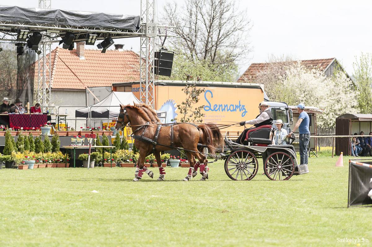 &bullet;  Fotó: Gecse Noémi