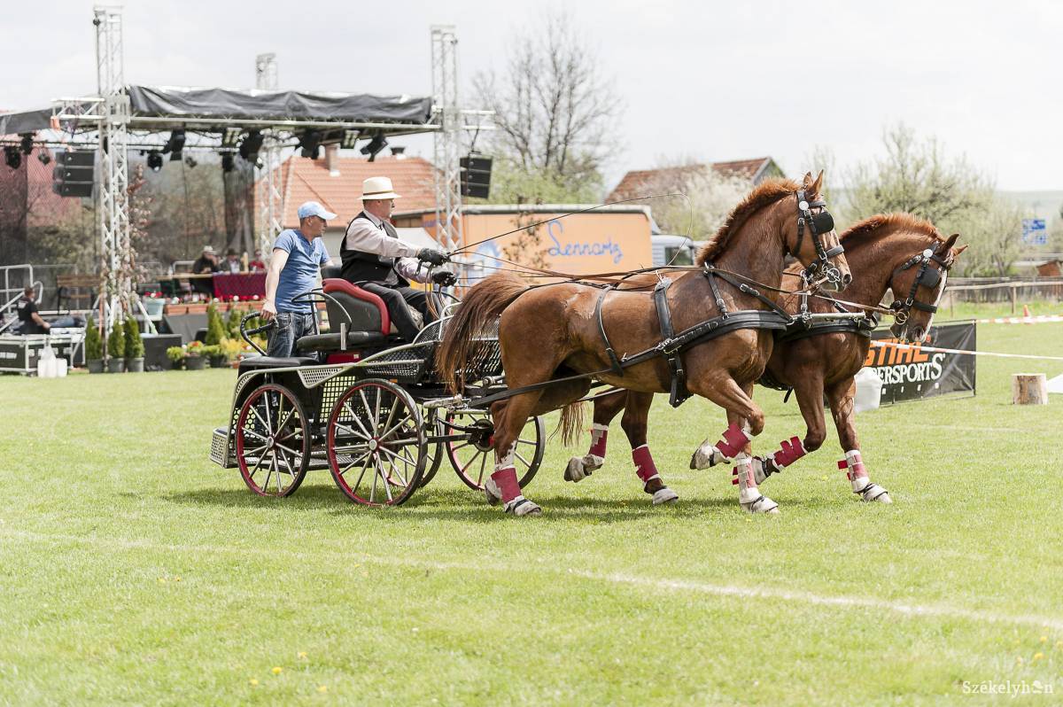 &bullet;  Fotó: Gecse Noémi