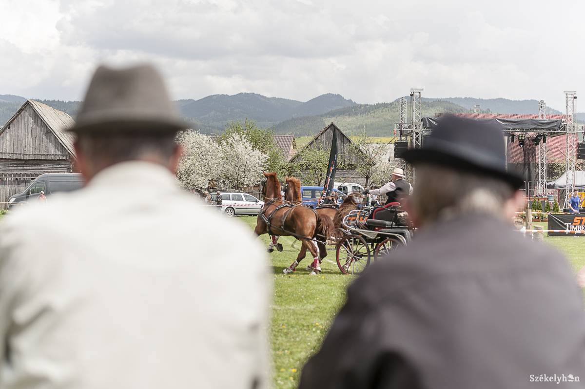 &bullet;  Fotó: Gecse Noémi