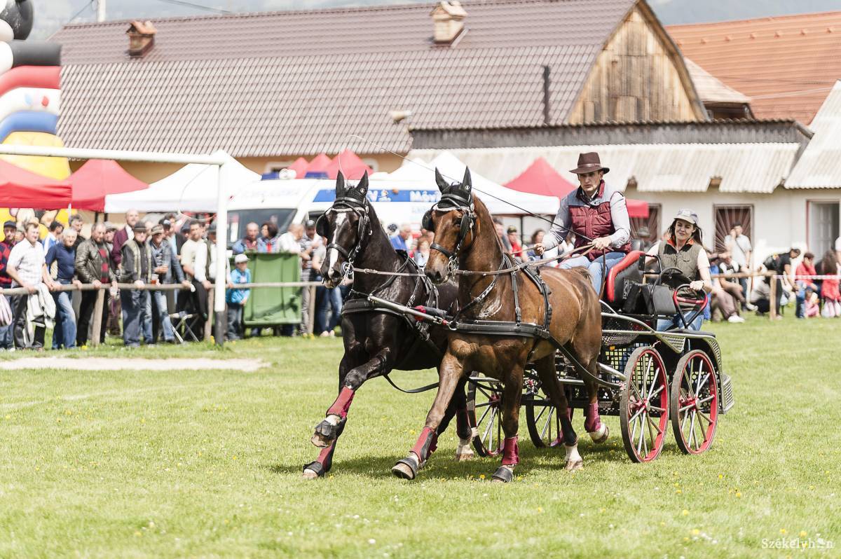&bullet;  Fotó: Gecse Noémi