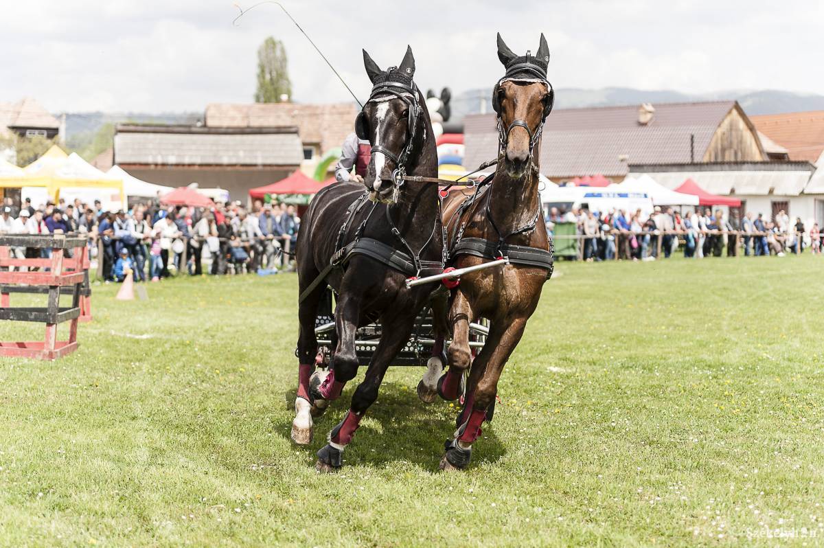 &bullet;  Fotó: Gecse Noémi