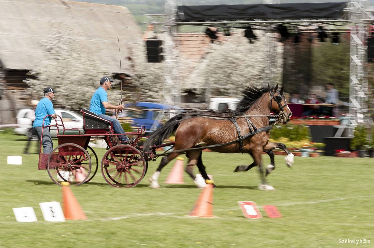 &bullet;  Fotó: Gecse Noémi