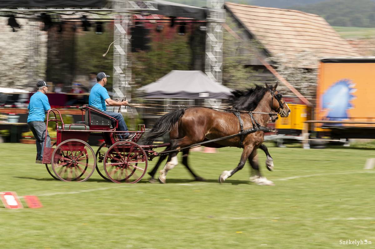 &bullet;  Fotó: Gecse Noémi