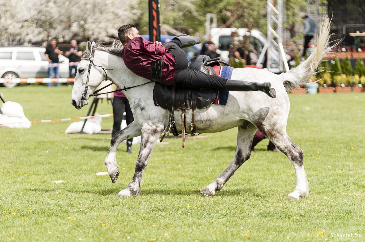 &bullet;  Fotó: Gecse Noémi