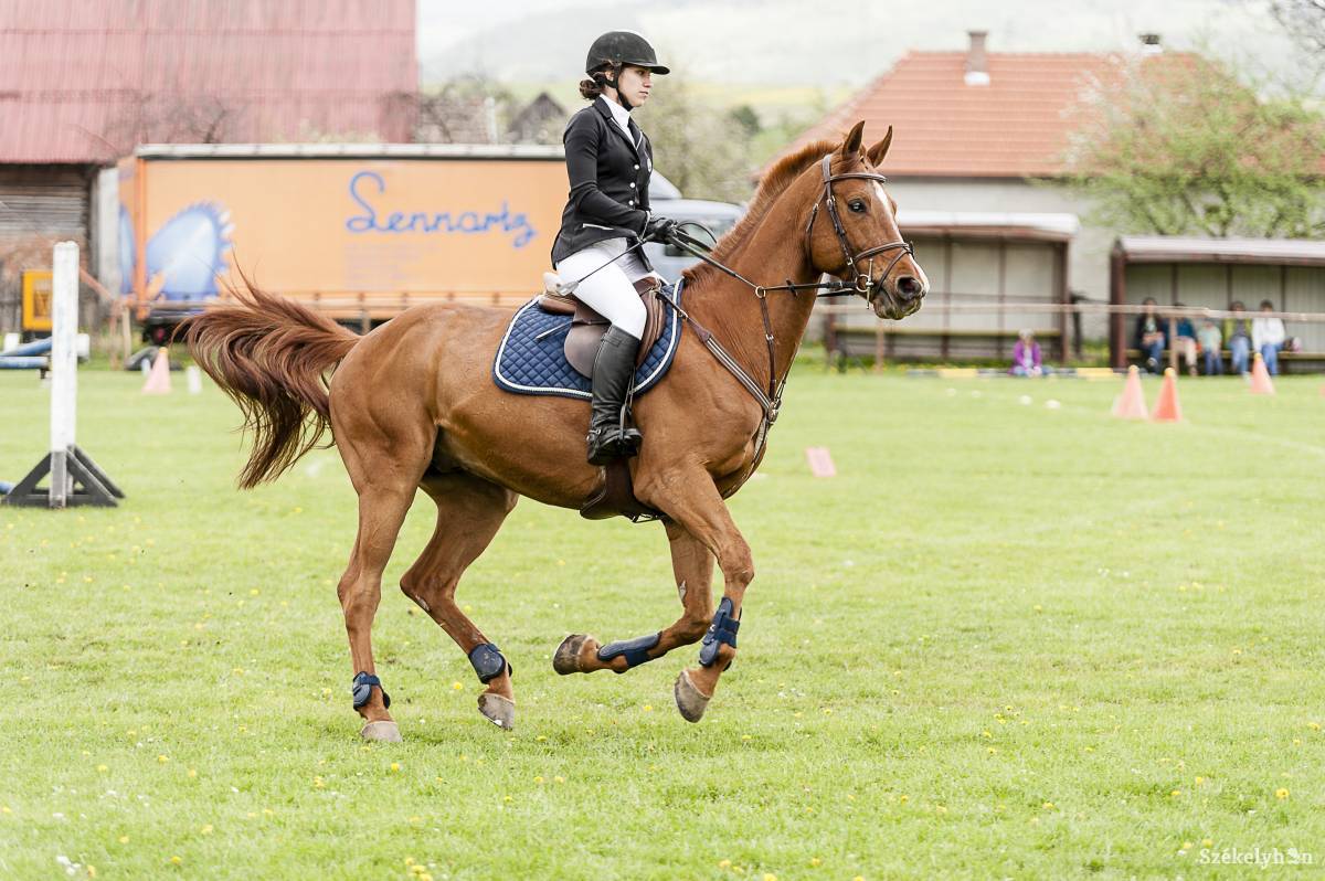 &bullet;  Fotó: Gecse Noémi