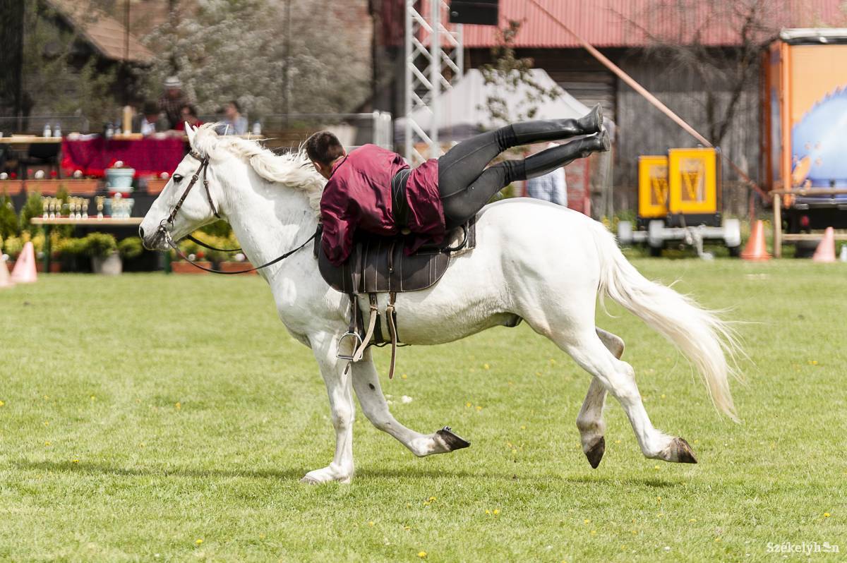 &bullet;  Fotó: Gecse Noémi