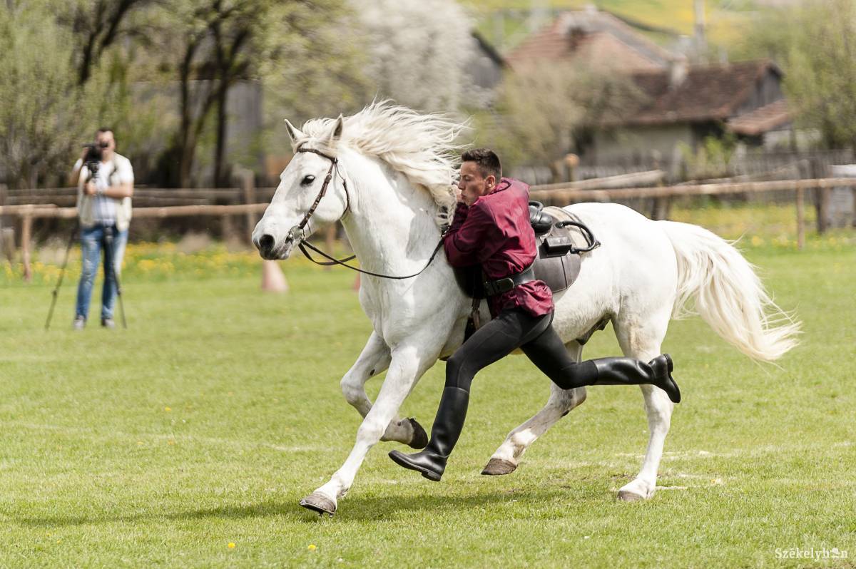 &bullet;  Fotó: Gecse Noémi