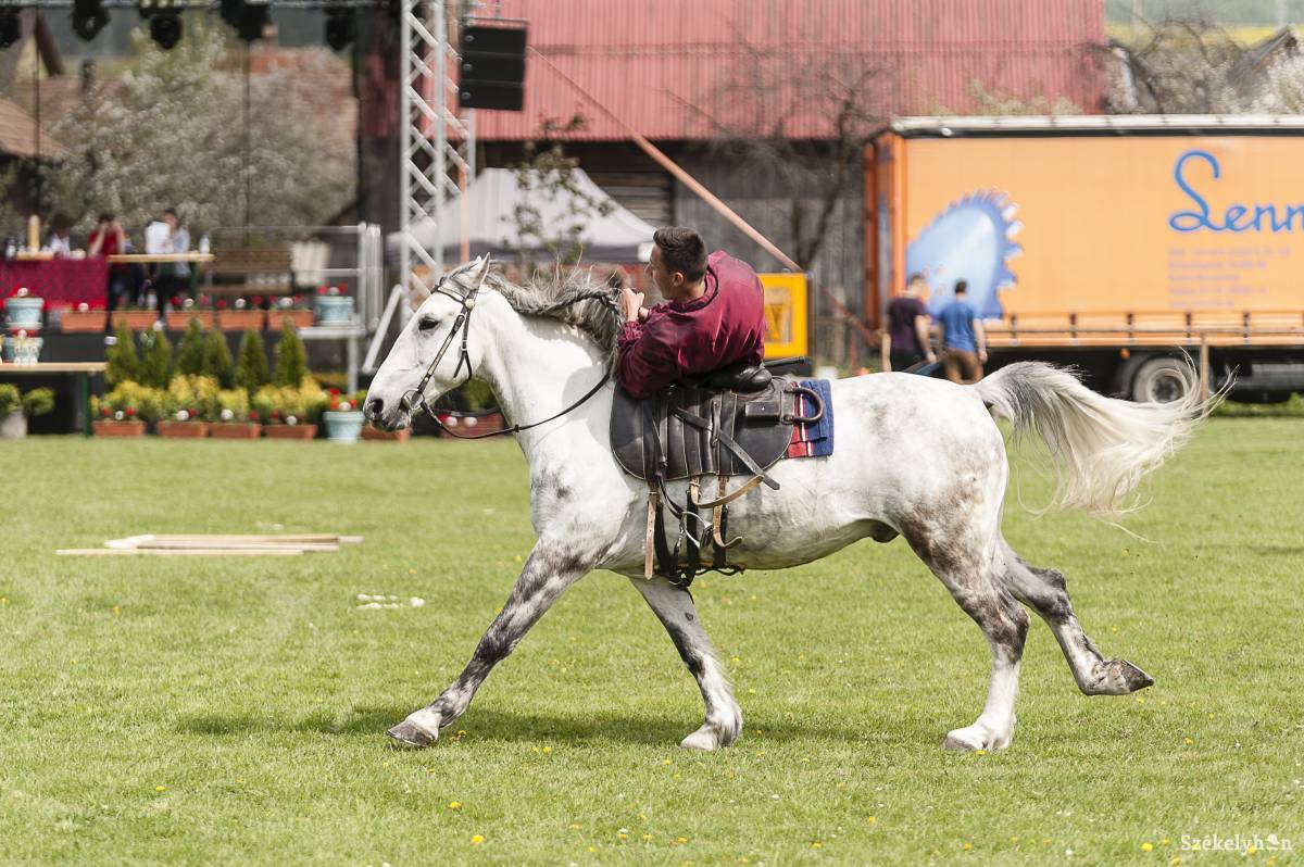 &bullet;  Fotó: Gecse Noémi