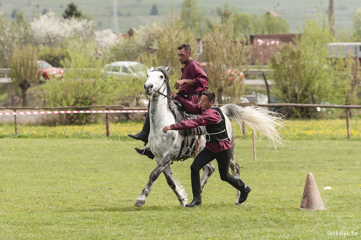 &bullet;  Fotó: Gecse Noémi
