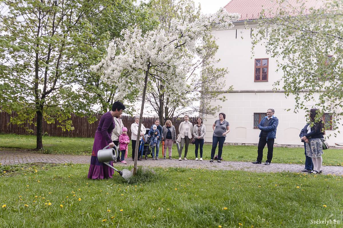A Születésfánál rajtol a rendezvénysorozat. Archív •  Fotó: Gecse Noémi