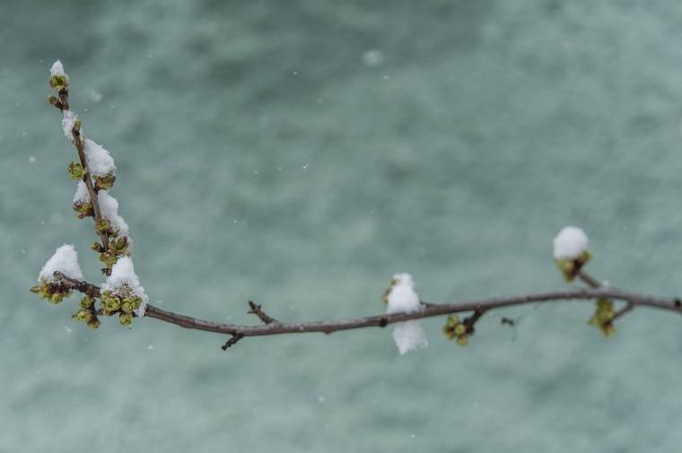 Örökségünk őrei: továbbfejlesztik a vetélkedőt