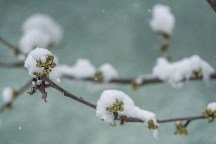Megabírság az NN-nek a magánnyugdíjak államosításáról szóló levele miatt