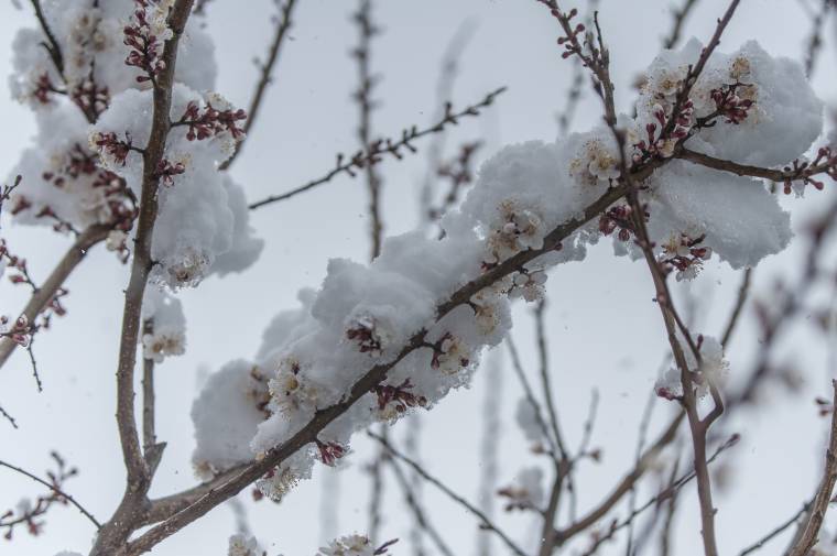 Mínusz 9 Celsius-fok volt Csíkszeredában
