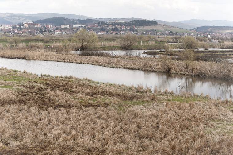 Tilos a horgászat a holtágnál