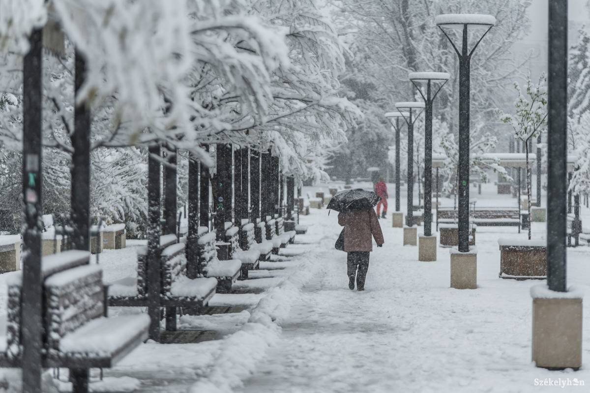 &bullet;  Fotó: Pinti Attila