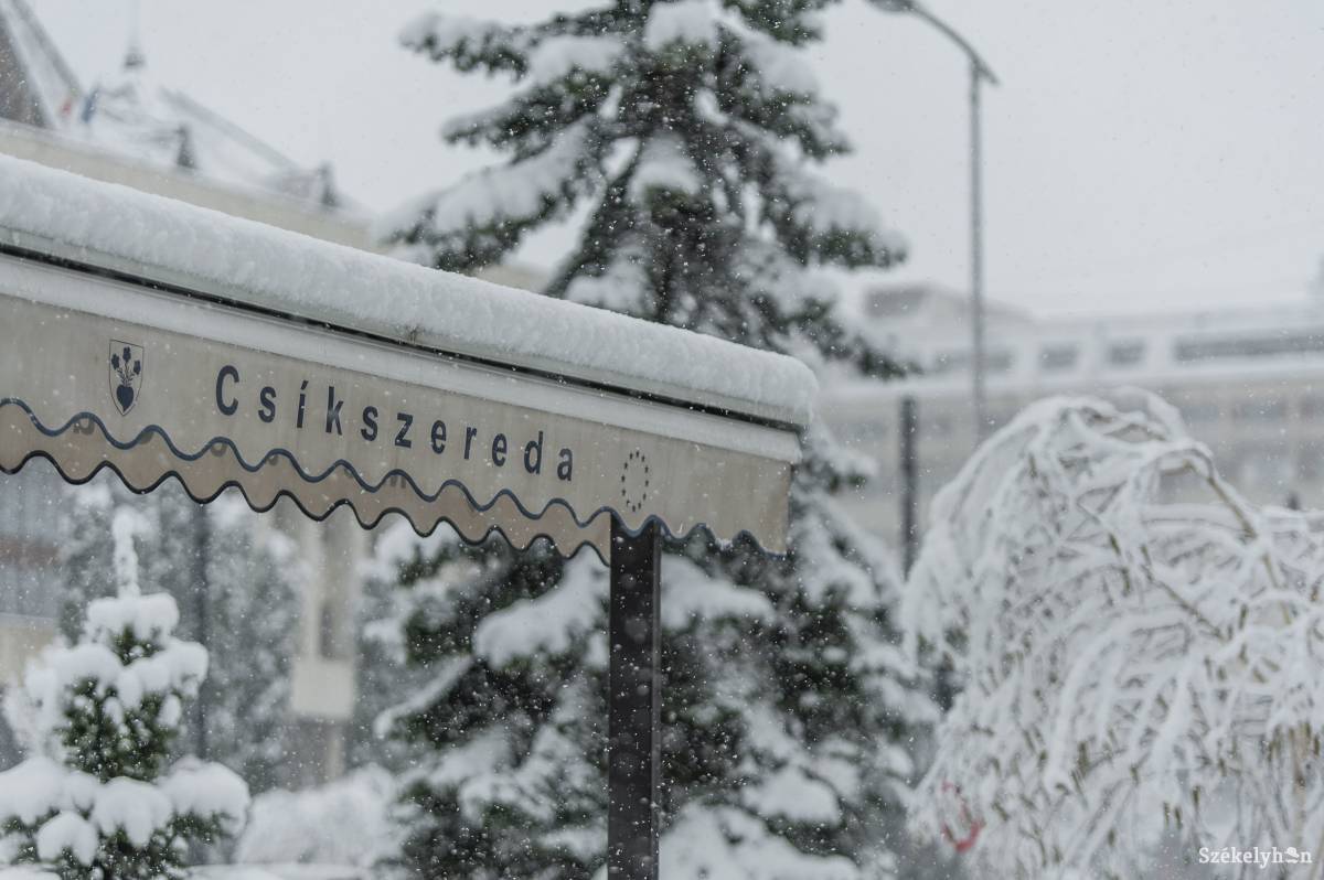 &bullet;  Fotó: Pinti Attila