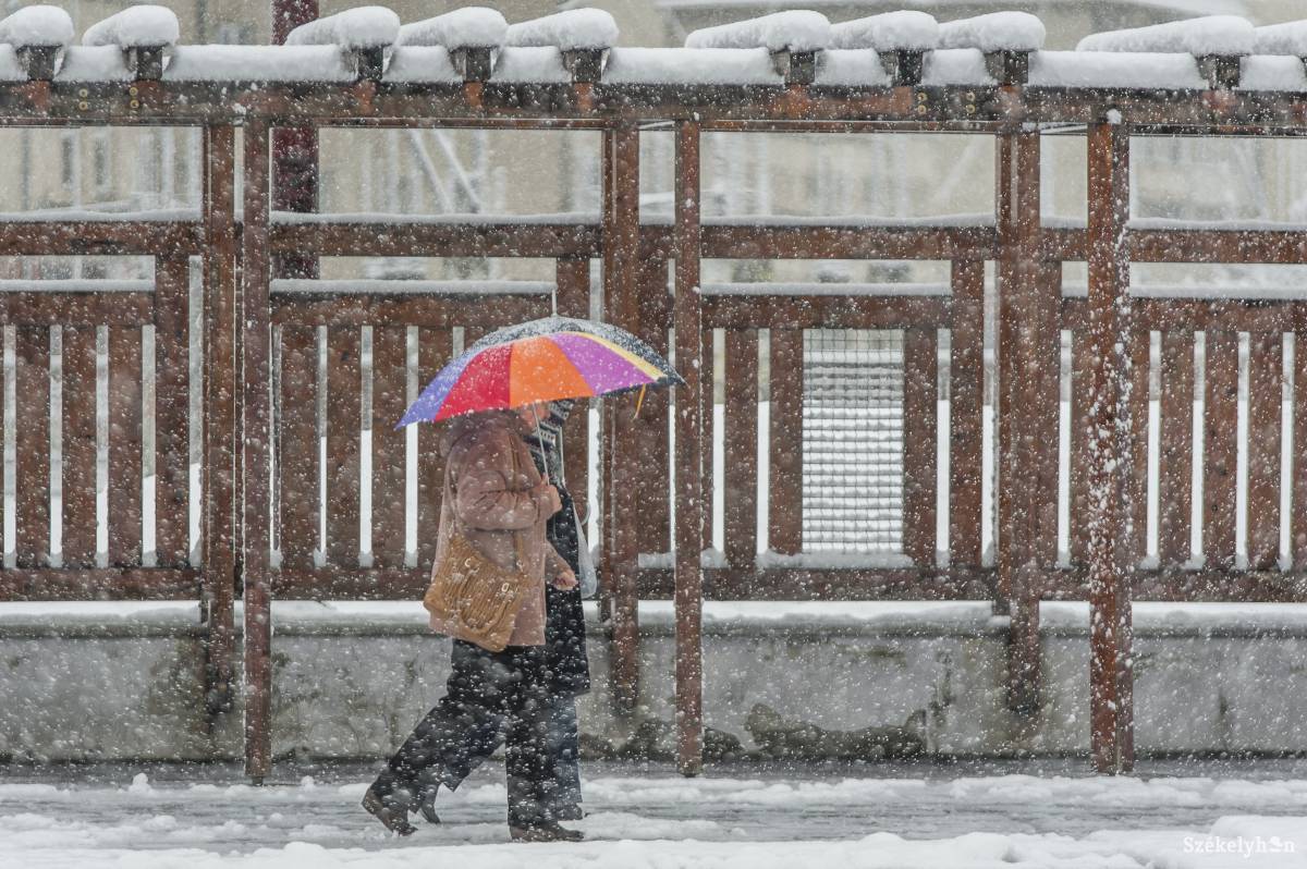 &bullet;  Fotó: Pinti Attila