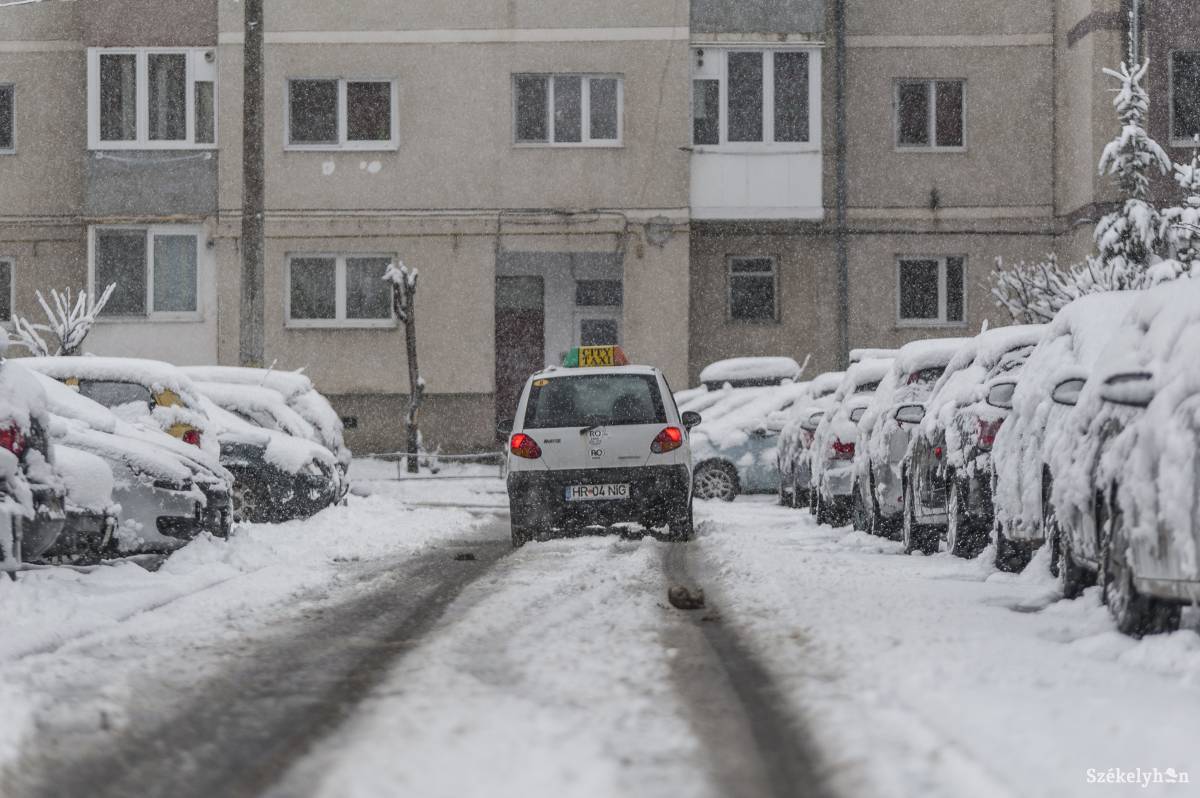 &bullet;  Fotó: Pinti Attila