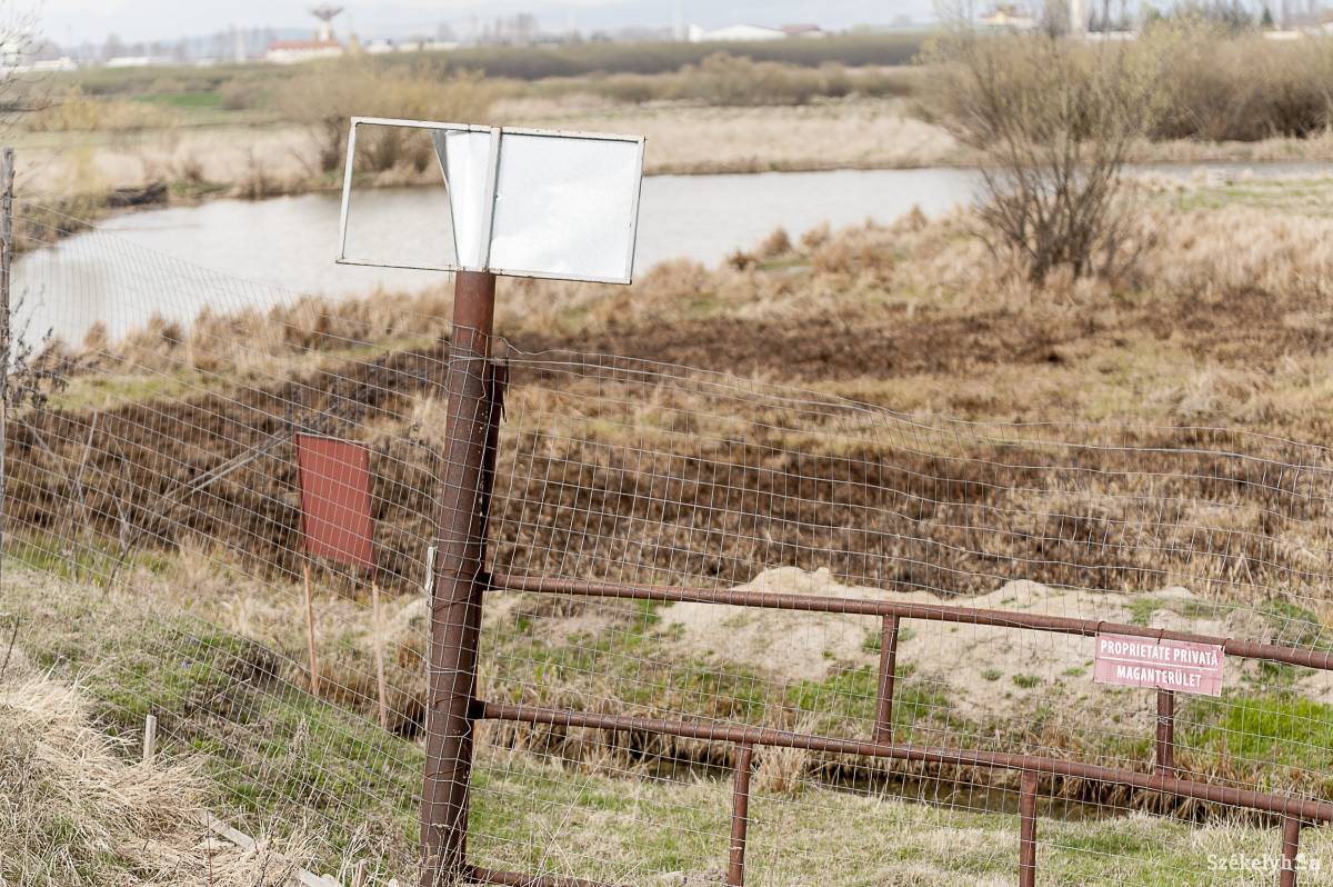 A szécsenyi holtág •  Fotó: Gecse Noémi