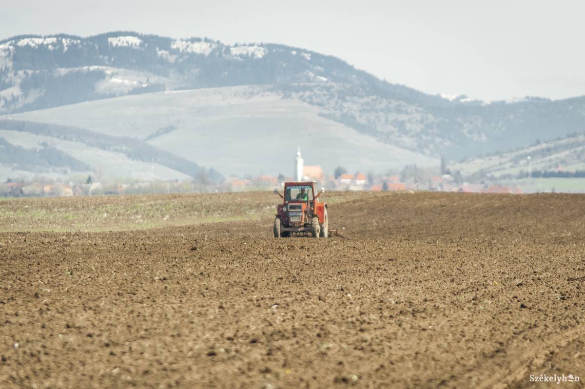Nehéz munka. Nemcsak az állandóan ingadozó felvásárlási árak okoznak sok fejfájást, hanem az agrártámogatások körüli káosz is •  Fotó: Pinti Attila