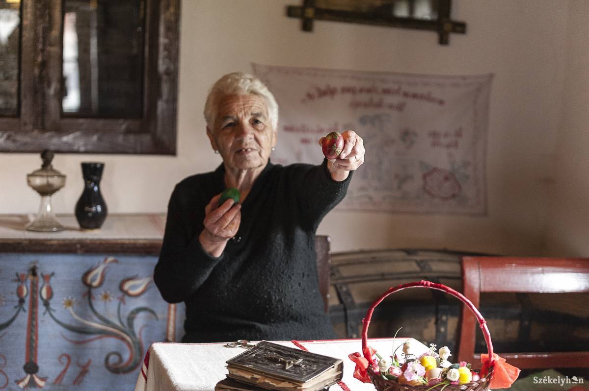 •  Fotó: Gecse Noémi