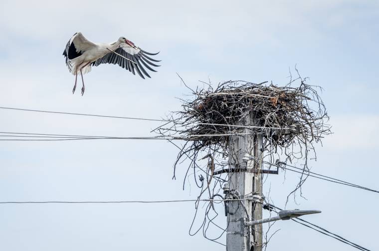 Székelyföldön már várják a tavasz hírnökeit