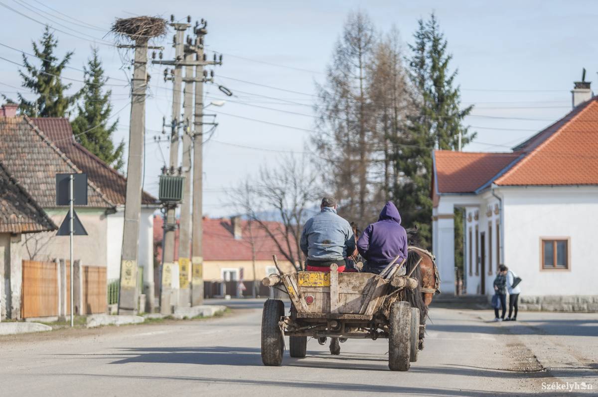 • Fotó: Pinti Attila