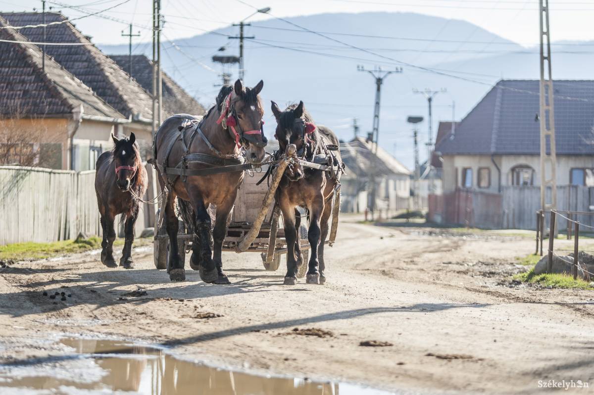 &bullet;  Fotó: Pinti Attila