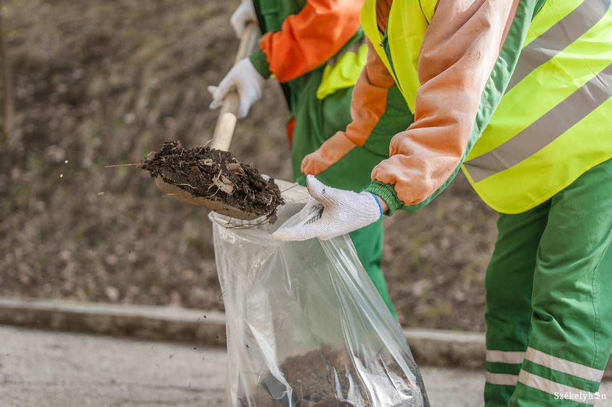Közterületeken takarítanak, hogy leróják adósságukat •  Fotó: Pinti Attila