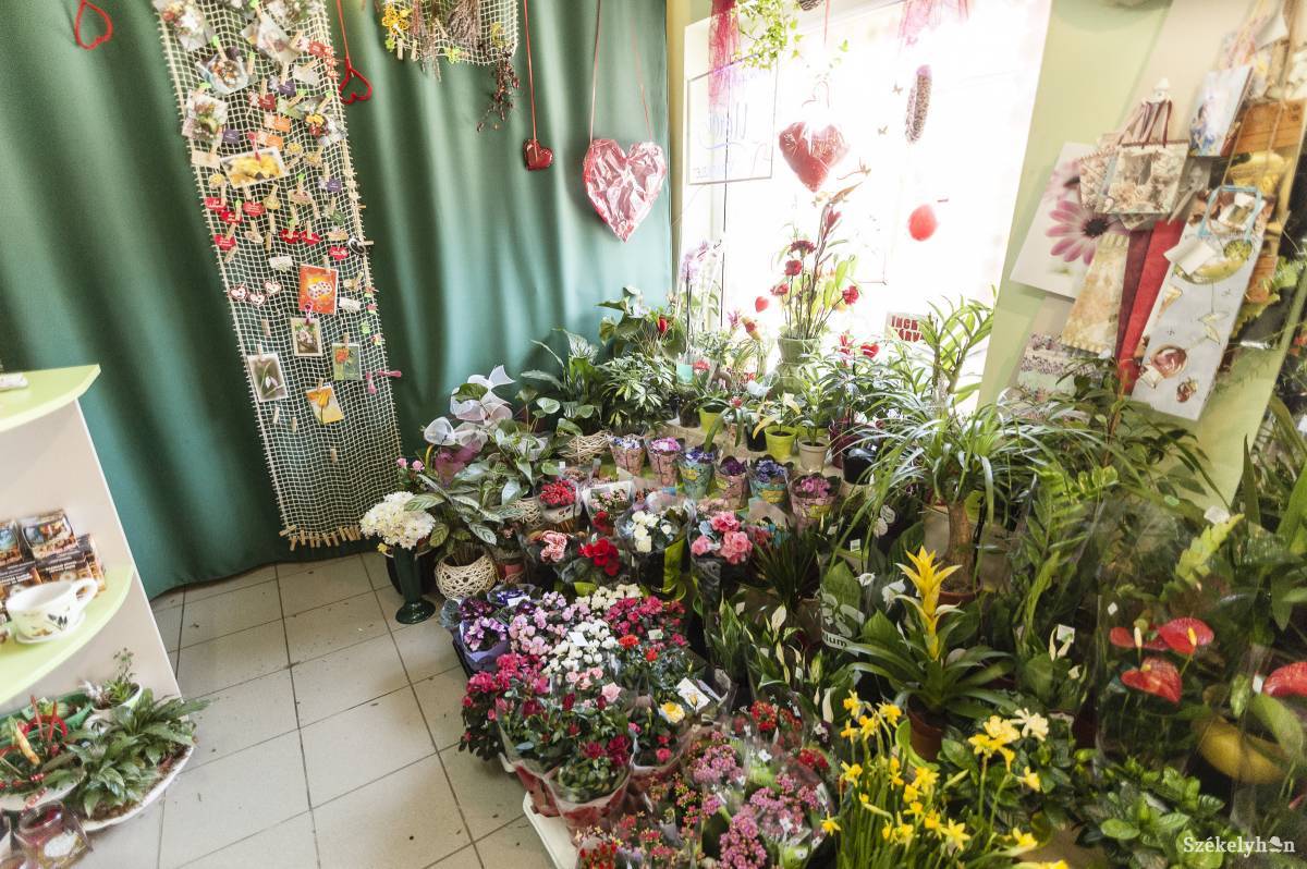 Az ajándék virágra szánt pénz másokon is segíthet. Illusztráció • Fotó: Gecse Noémi