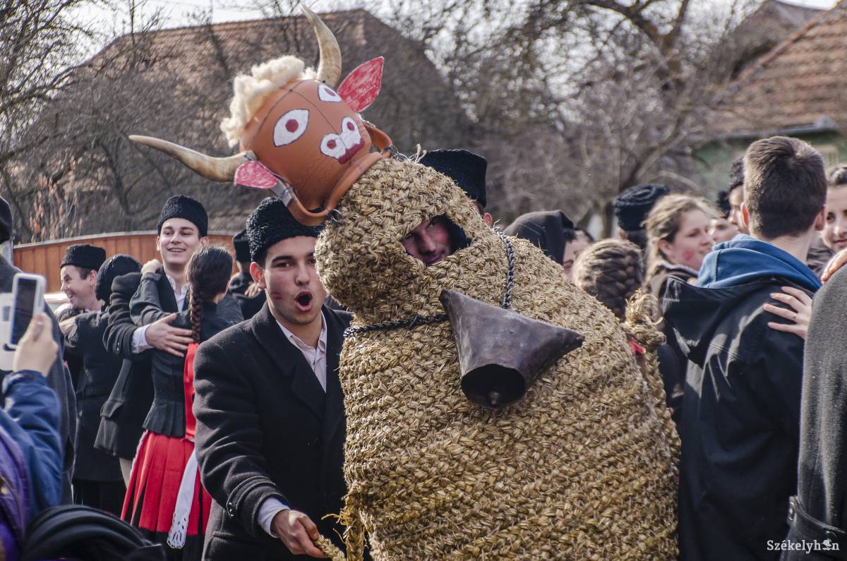 A kászonokban a bikaütés hagyományával búcsúztatják a farsangot. Archív •  Fotó: Pinti Attila