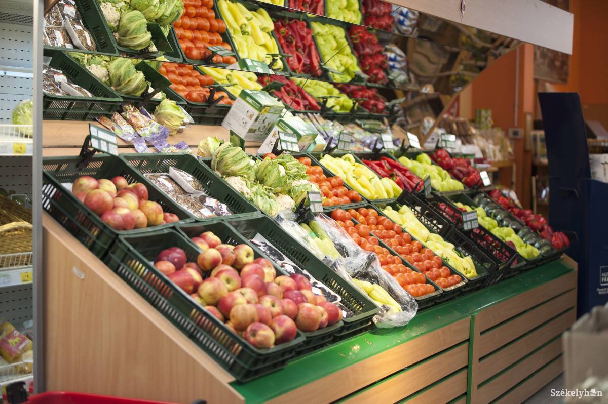 &bullet;  Fotó: Gecse Noémi