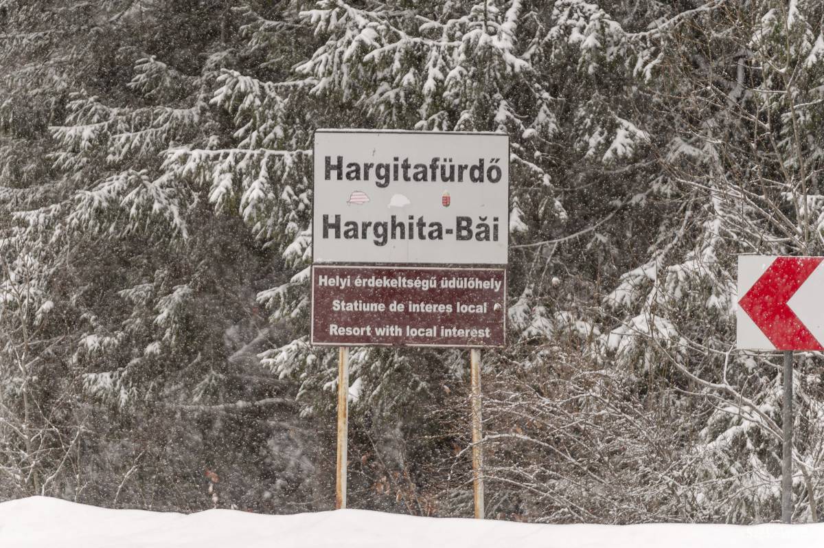 • Fotó: Gecse Noémi