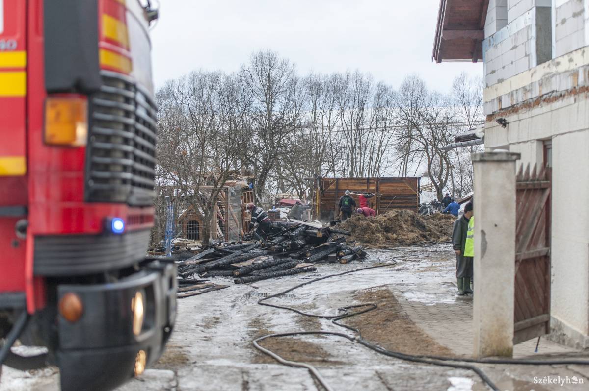 •  Fotó: Pinti Attila