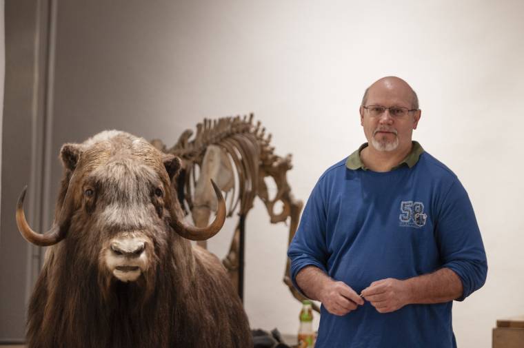 Mamut, kardfogú tigris, pézsmatulok Csíkszeredában