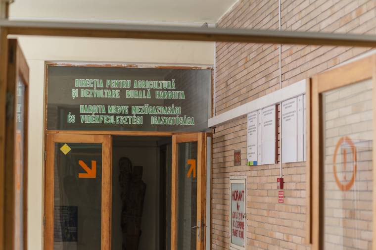 Gazdabarátabb intézményként lábalhatnak ki a mélypontból