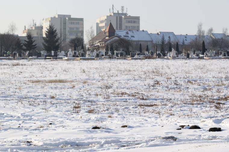 Rendezésre vár Csíkszeredában a Kalász-lakótelepi temető – talán idén elkezdik