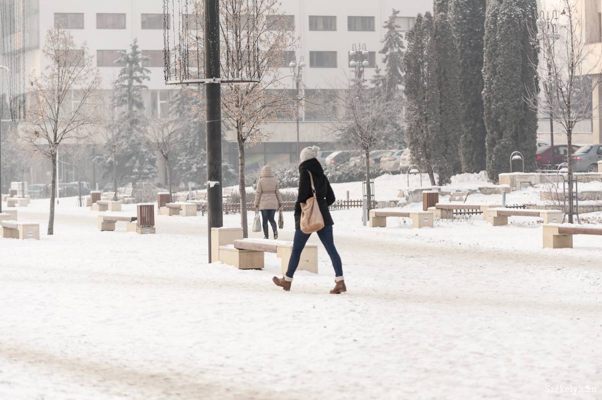 •  Fotó: Gecse Noémi