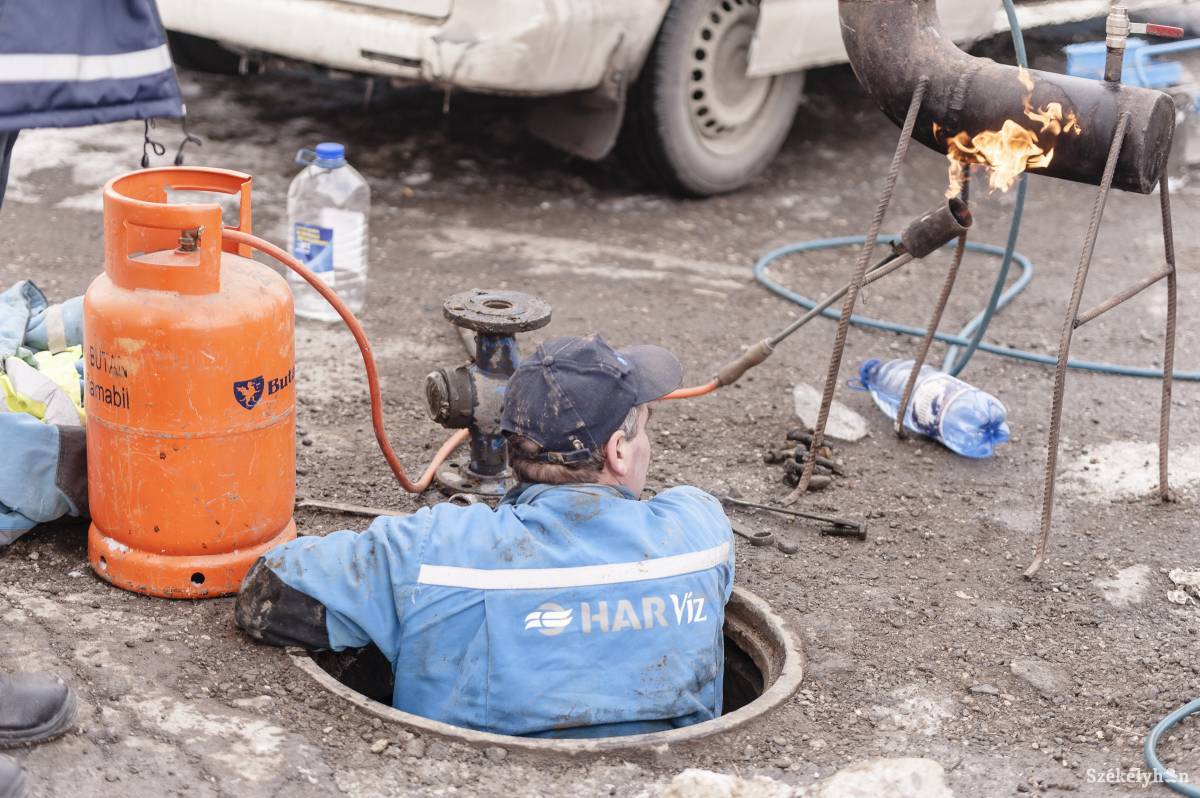 •  Fotó: Gecse Noémi