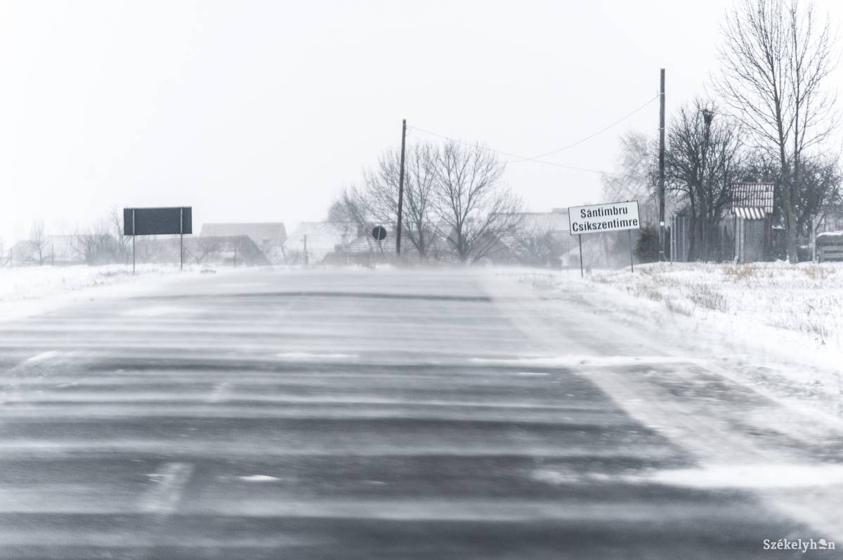 • Fotó: Gecse Noémi