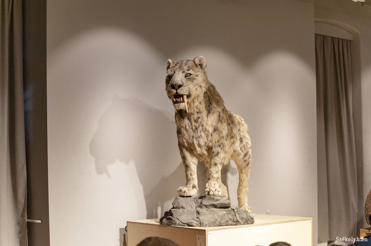 •  Fotó: Gecse Noémi