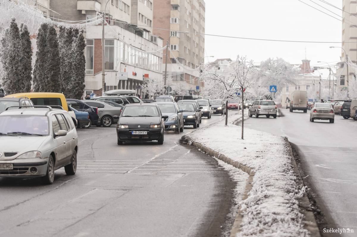 • Fotó: Gecse Noémi