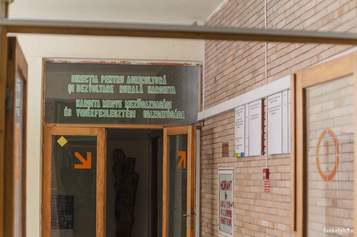 •  Fotó: Gecse Noémi