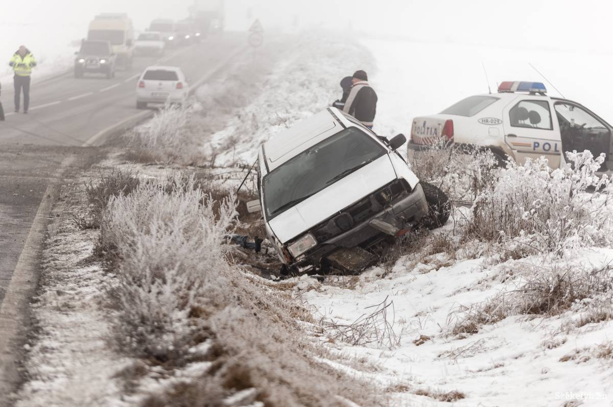 •  Fotó: Gecse Noémi