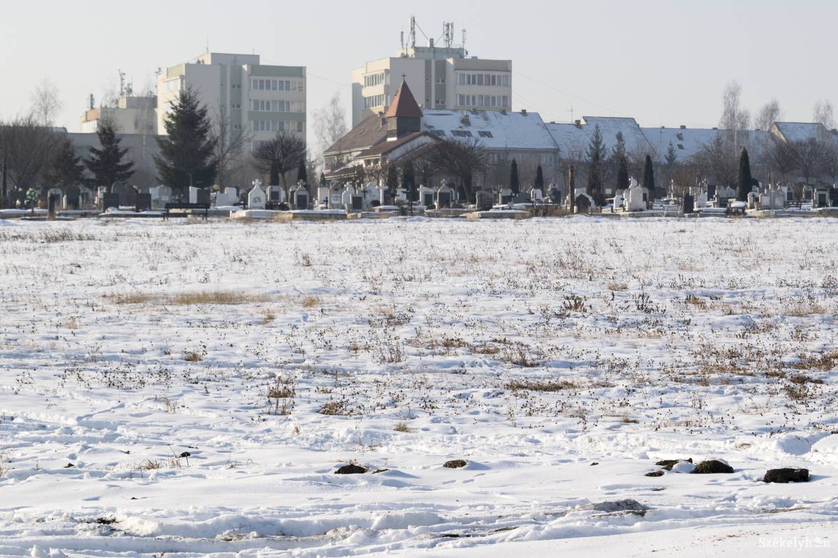 •  Fotó: Gegő Imre