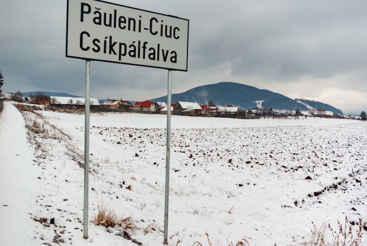 Papíron és online is aláírásokat gyűjtenek •  Fotó: Gábos Albin